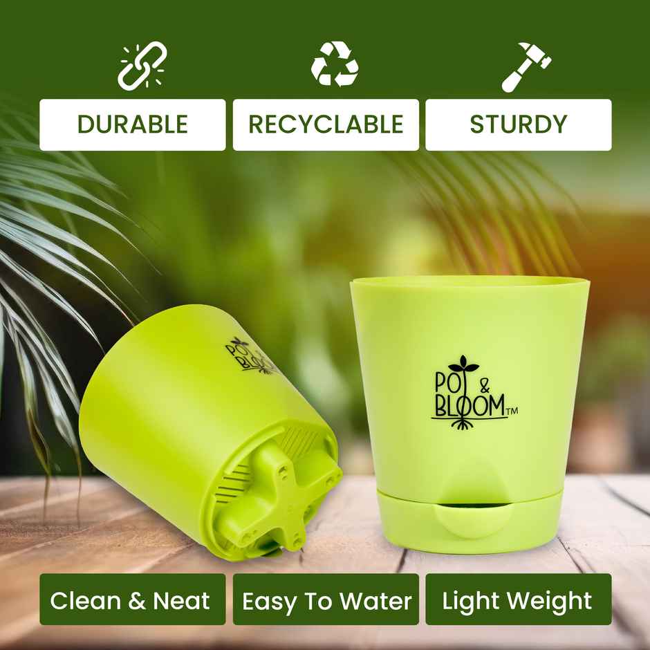Pot And Bloom 4 Inch Self Watering Pot - Green