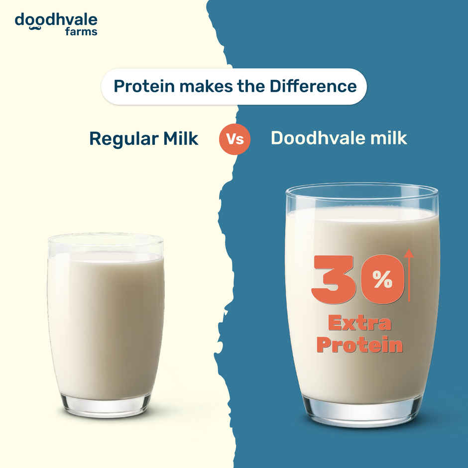 Doodhvale Farms Royal A2 Buffalo Fresh Milk | Pouch