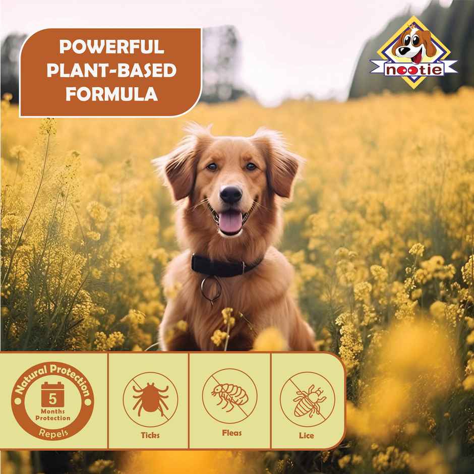 Nootie All Natural Tick and Flea Dog Collar Herbal Protection