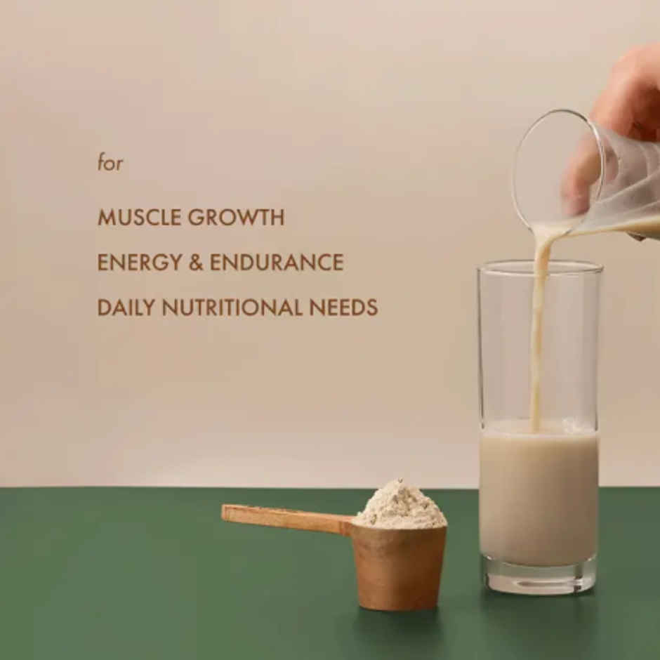 Cosmix No-Nonsense Plant Protein Kerala Vanilla Bean, 24g Protein