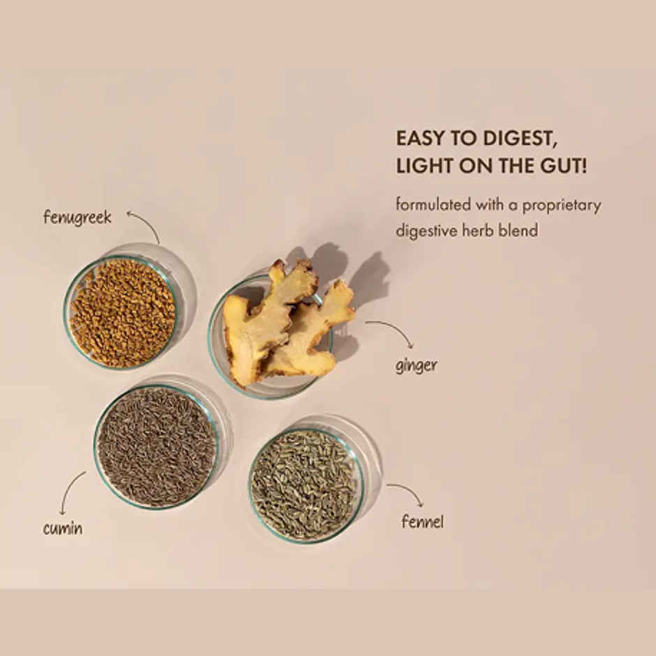 Cosmix No-Nonsense Plant Protein Indonesian Cacao, 24g Protein