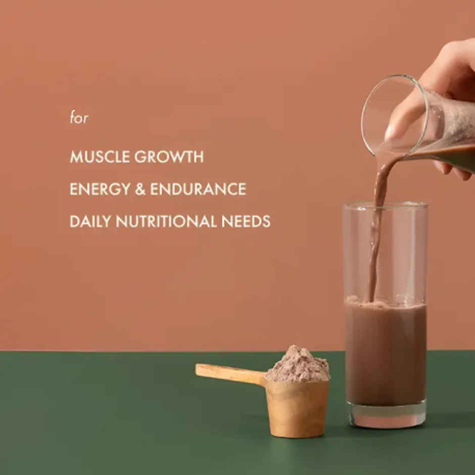 Cosmix No-Nonsense Plant Protein Indonesian Cacao, 24g Protein