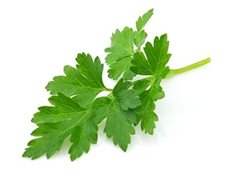 Parsley Flat
