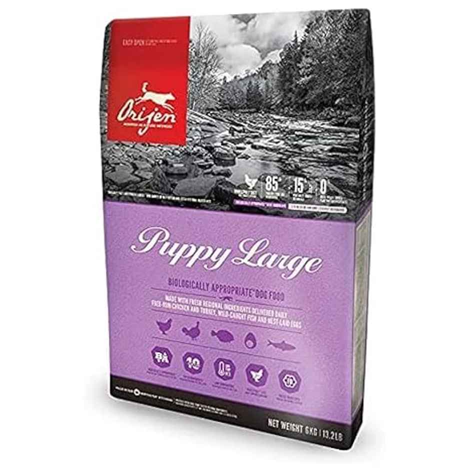 Orijen Large Breed Puppy Food