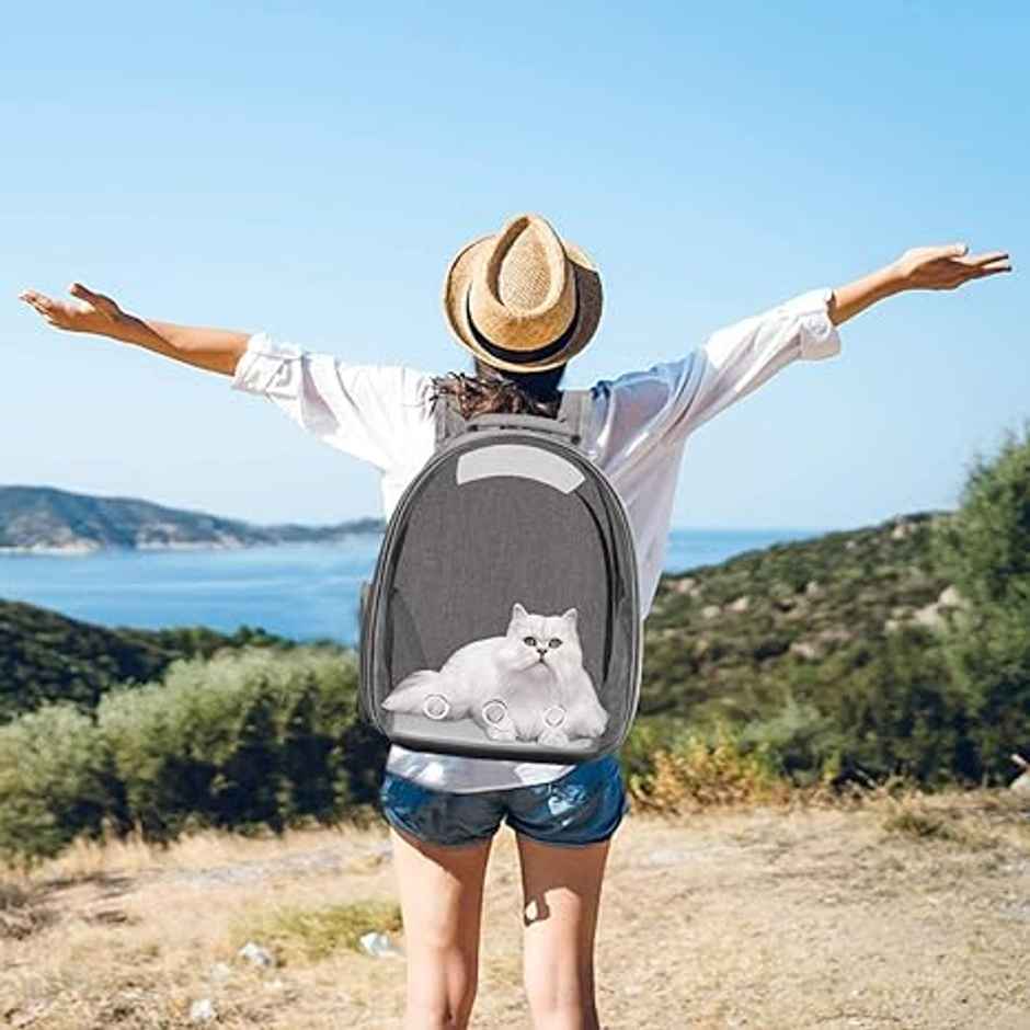 Pets Empire Astronaut Transparent Pet Carrier , Backpack For Puppies & Cats | Grey