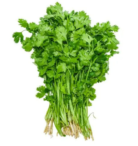 Coriander/Kothimeera - Cleaned, With roots