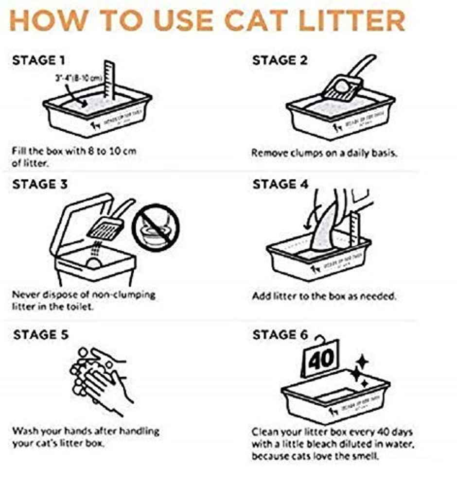 All4Pet Lavender Premium All Natural Clumping Cat Litter