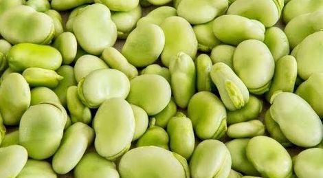 Double Beans Peeled
