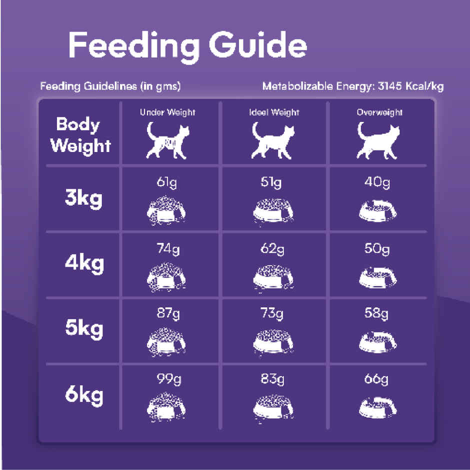DatGud Chicken and Wild Fish Adult Dry Cat Food | Nutrition Antioxidants Taurine Digest
