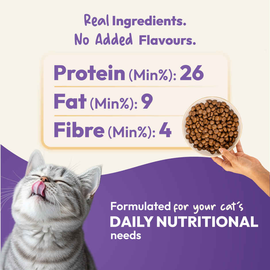 DatGud Chicken and Wild Fish Adult Dry Cat Food | Nutrition Antioxidants Taurine Digest