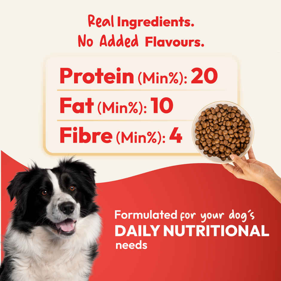 DatGud Chicken and Brown Rice Adult Dry Dog Food | Balanced Nutrition Joint Care Digest