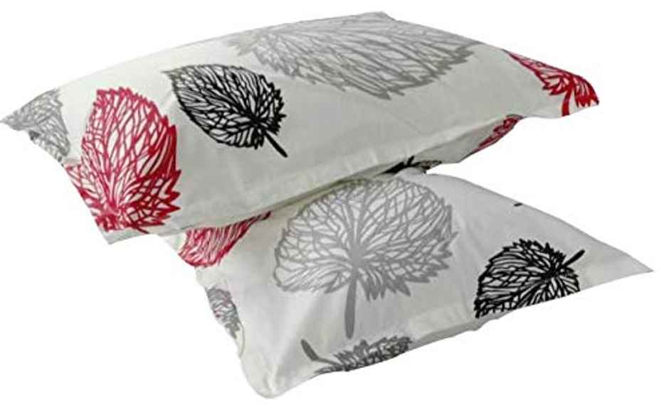 BAY6 100% Cotton 144 TC Super King Bedsheet - 108 in X 108 Inch, Botanical Print