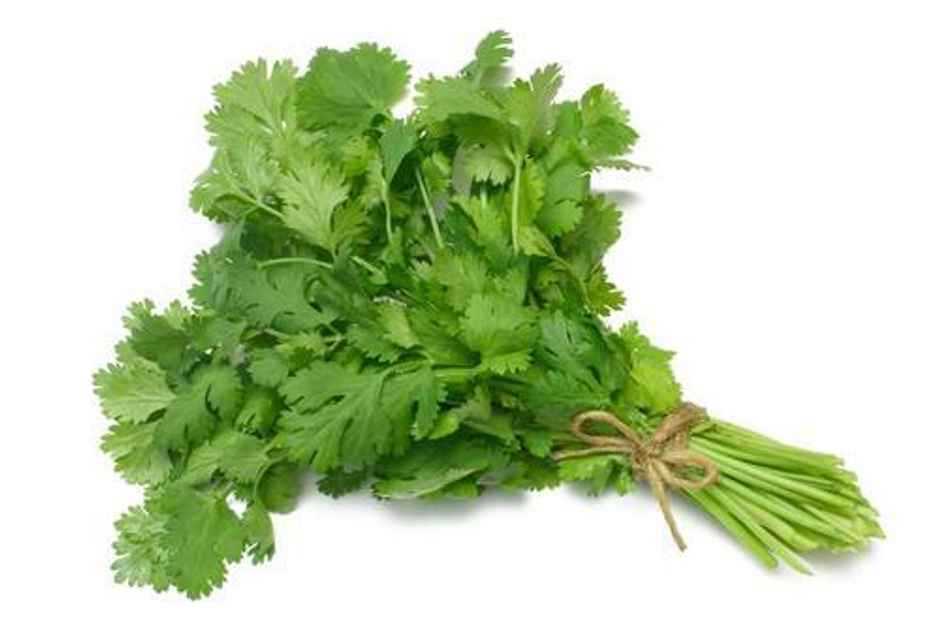 Organic Coriander Leaves (Koththamalli)
