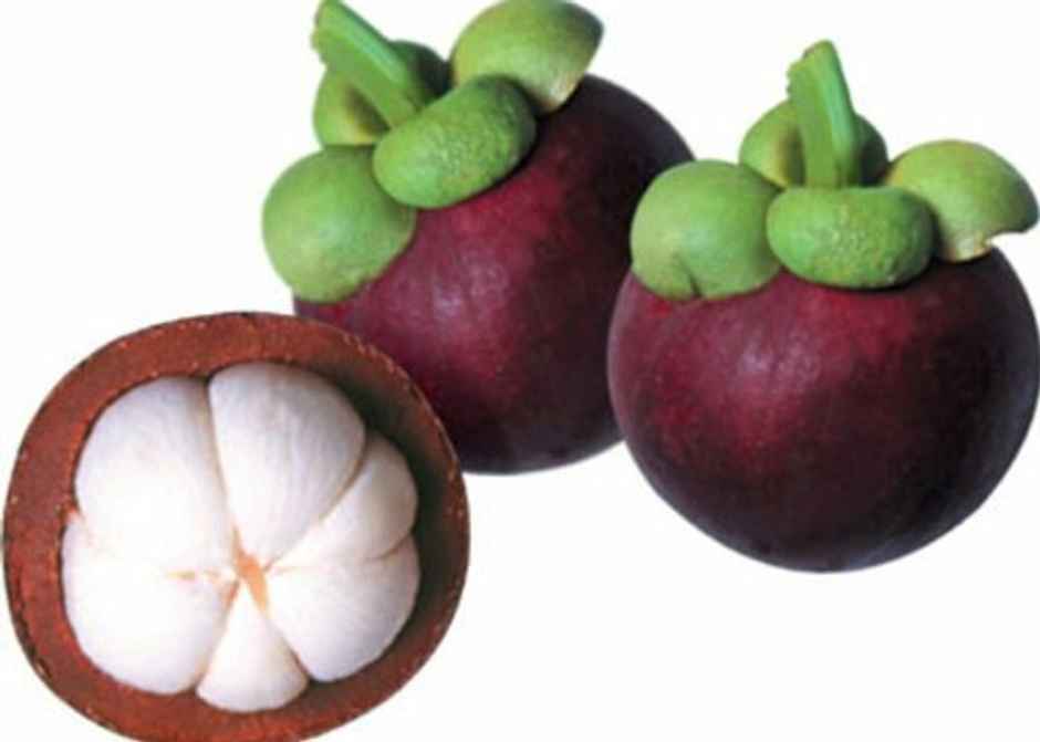 Mangostein
