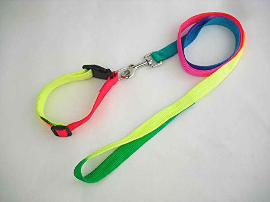Multi Color Strips Nylon Dog Leash & Collar Set For Dogs/Puppies (Mix Color)