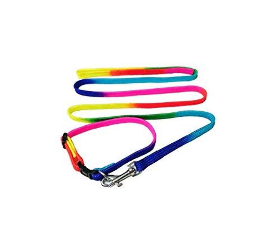 Multi Color Strips Nylon Dog Leash & Collar Set For Dogs/Puppies (Mix Color)