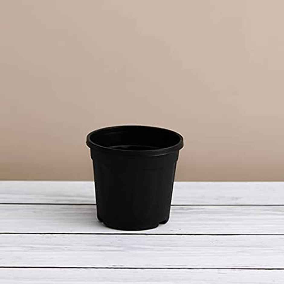 Leafy Tales Plastic Pots, Black 4 Inch Size 15 Piece, Small