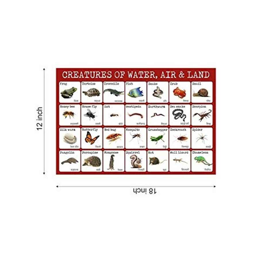 Paper Plane Design Kids Early Learning Educational Poster | Size 12 x 18 Inch | D8