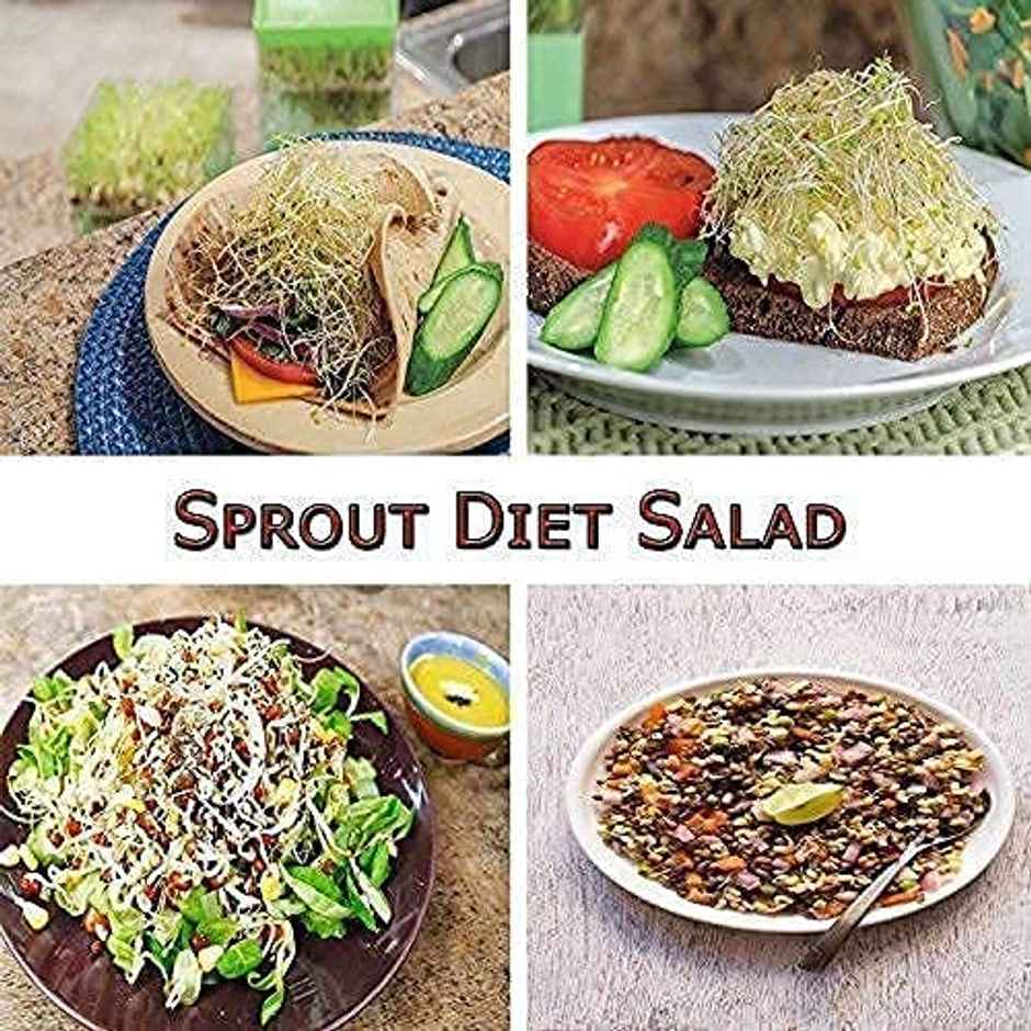 Tex-Ro Transperant Plastic 4 Layer Sprouts Maker for Multi Purpose Use | 500 ml