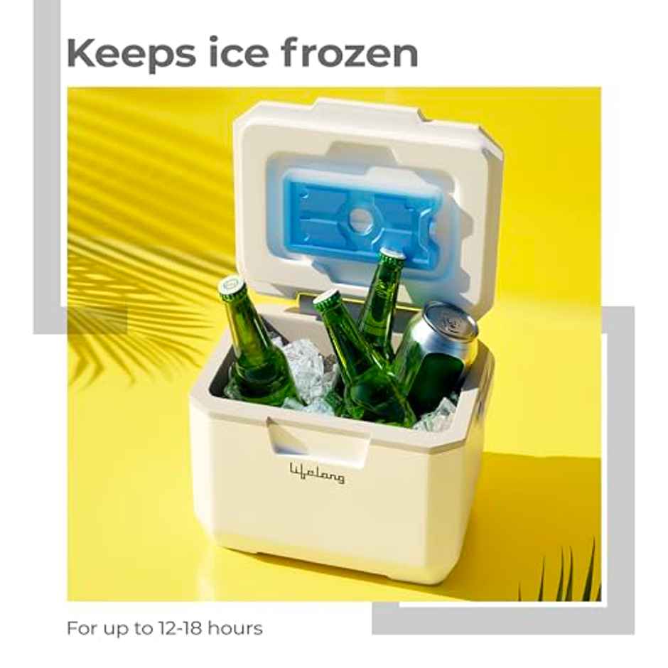 Lifelong Insulated Chiller Ice Box | 6 L | BPA-Free | For Travel, Parties, Bar & Medical Use