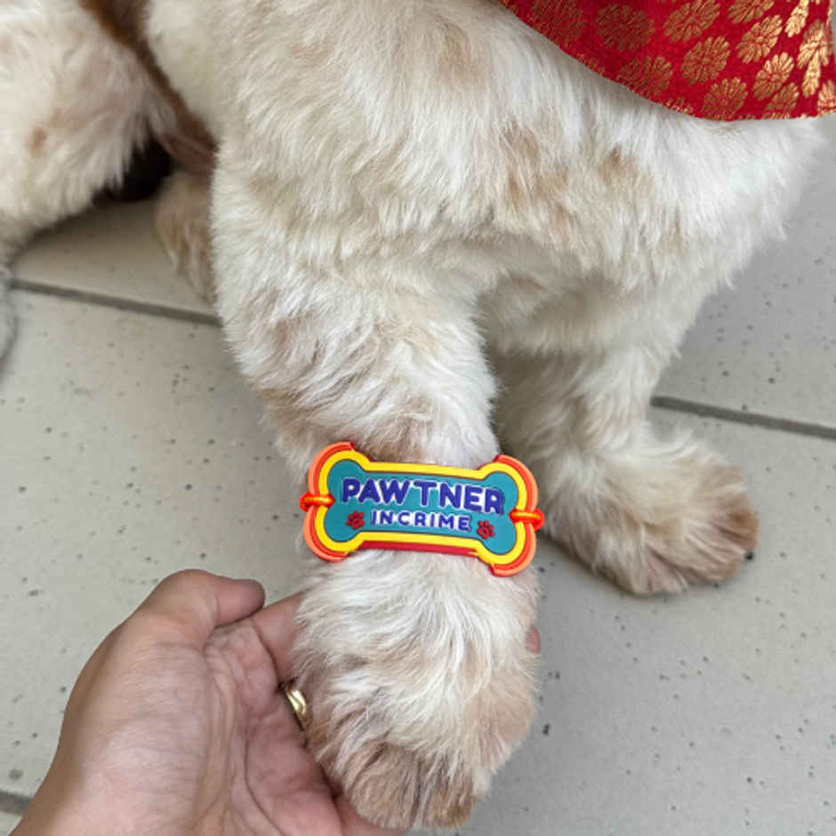 Pawgy Pets Pawtner in Crime Rakhi