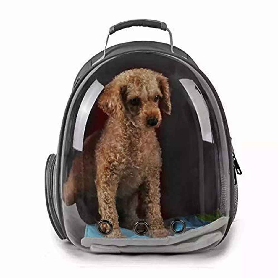 Nootie Pet Carrier Backpack | Assorted
