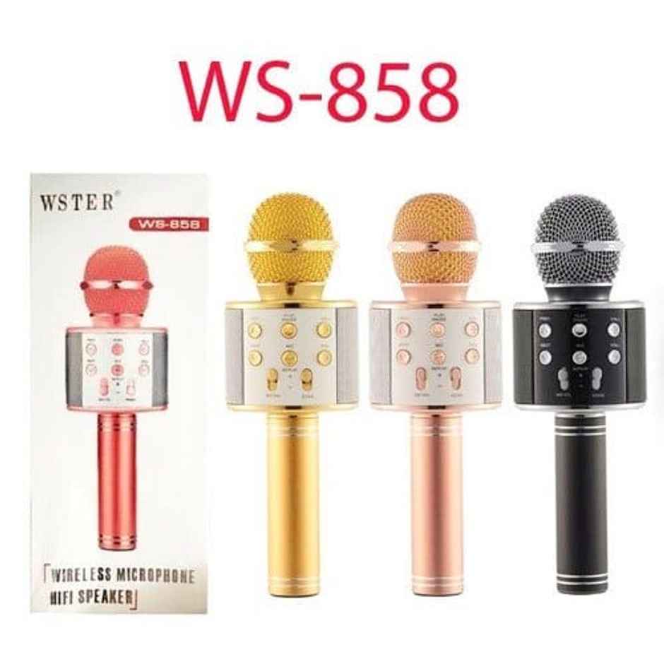 Wembley Wireless Bluetooth Karaoke Microphone For Singing (Colour May Vary)