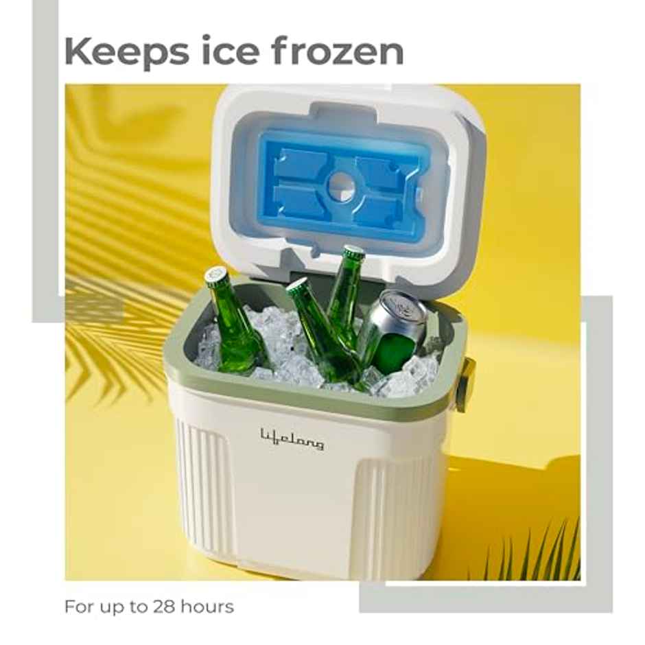 Lifelong Insulated Chiller Ice Box | 10 L | BPA-Free | For Travel, Parties, Bar & Medical Use