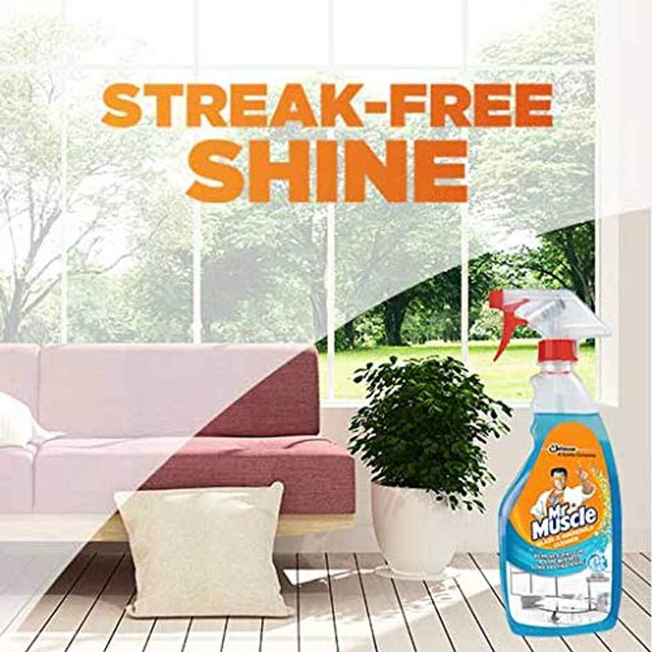 Mr. Muscle Glass Cleaner