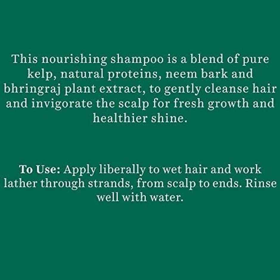 Biotique Ocean Kelp Anti Hair Fall Shampoo