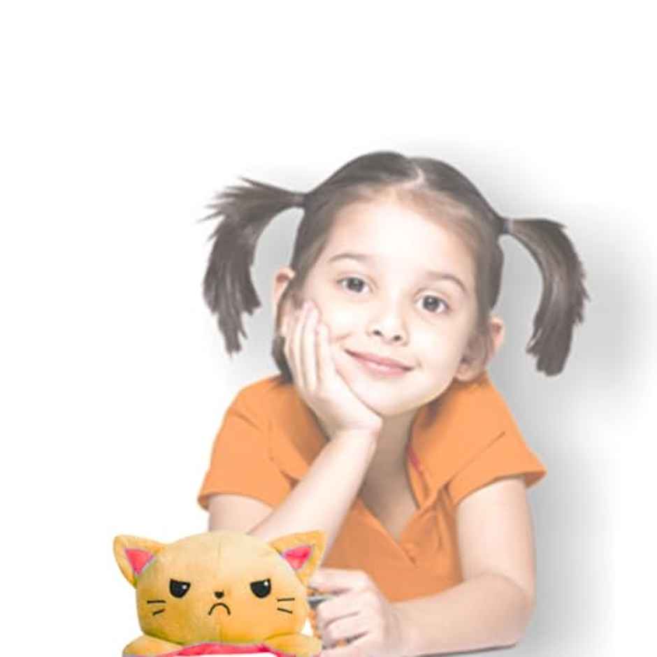 Storio Toy Cat Plushie Reversible Soft Toys For Kids | 15 cm