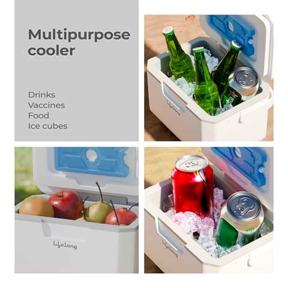Lifelong Insulated Chiller Ice Box | 6 L | BPA-Free | For Travel, Parties, Bar & Medical Use