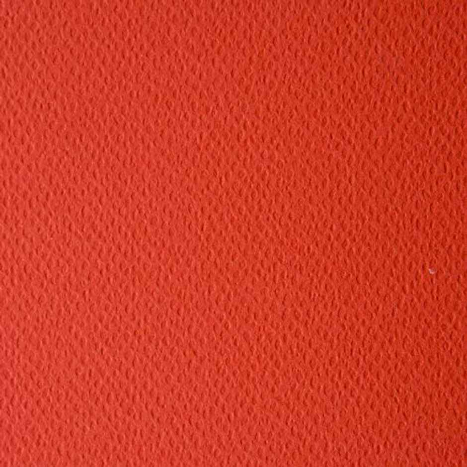 Paperpep Colorissimi 220Gsm Card Stock A4 Scarlatto (Red) Unicolor 15 Sheets