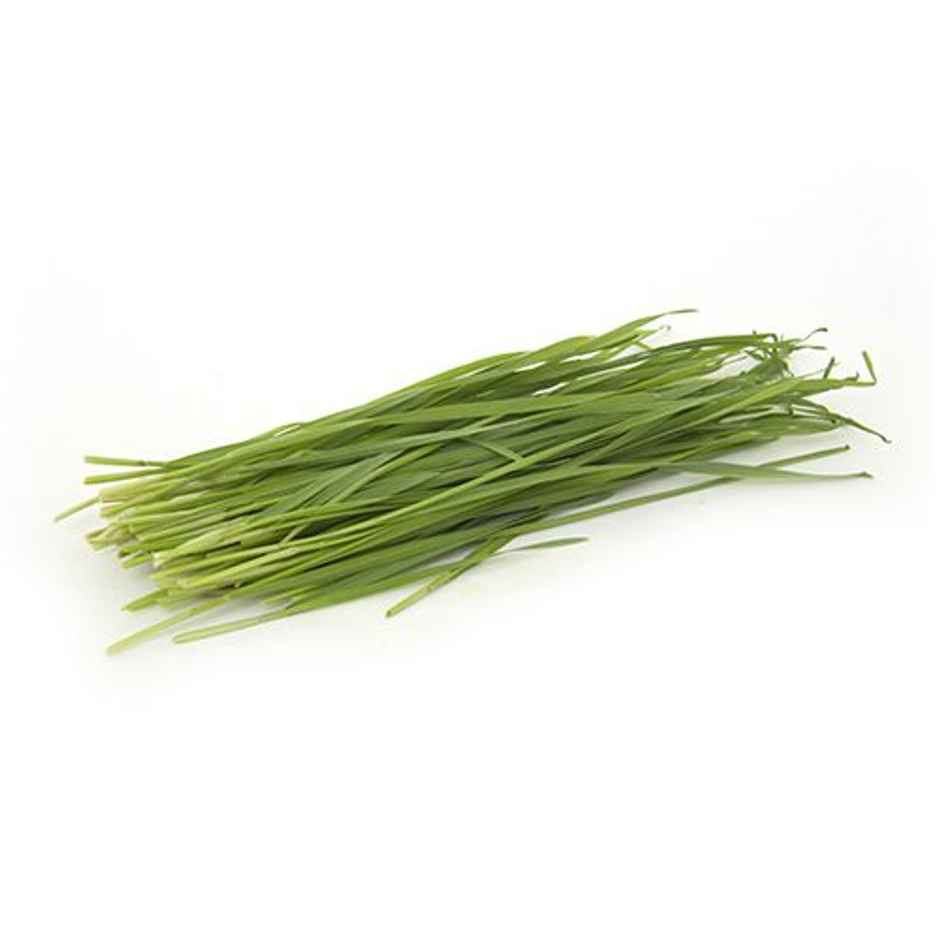 Wheat Grass
