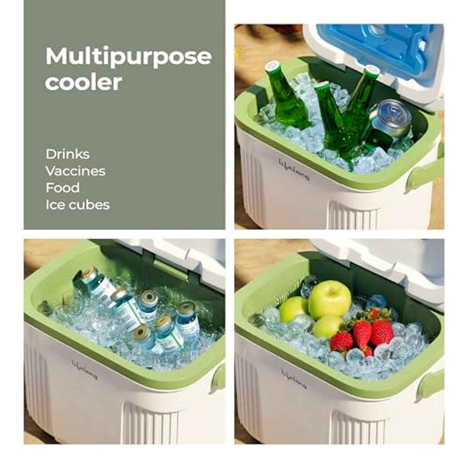Lifelong Insulated Chiller Ice Box | 10 L | BPA-Free | For Travel, Parties, Bar & Medical Use