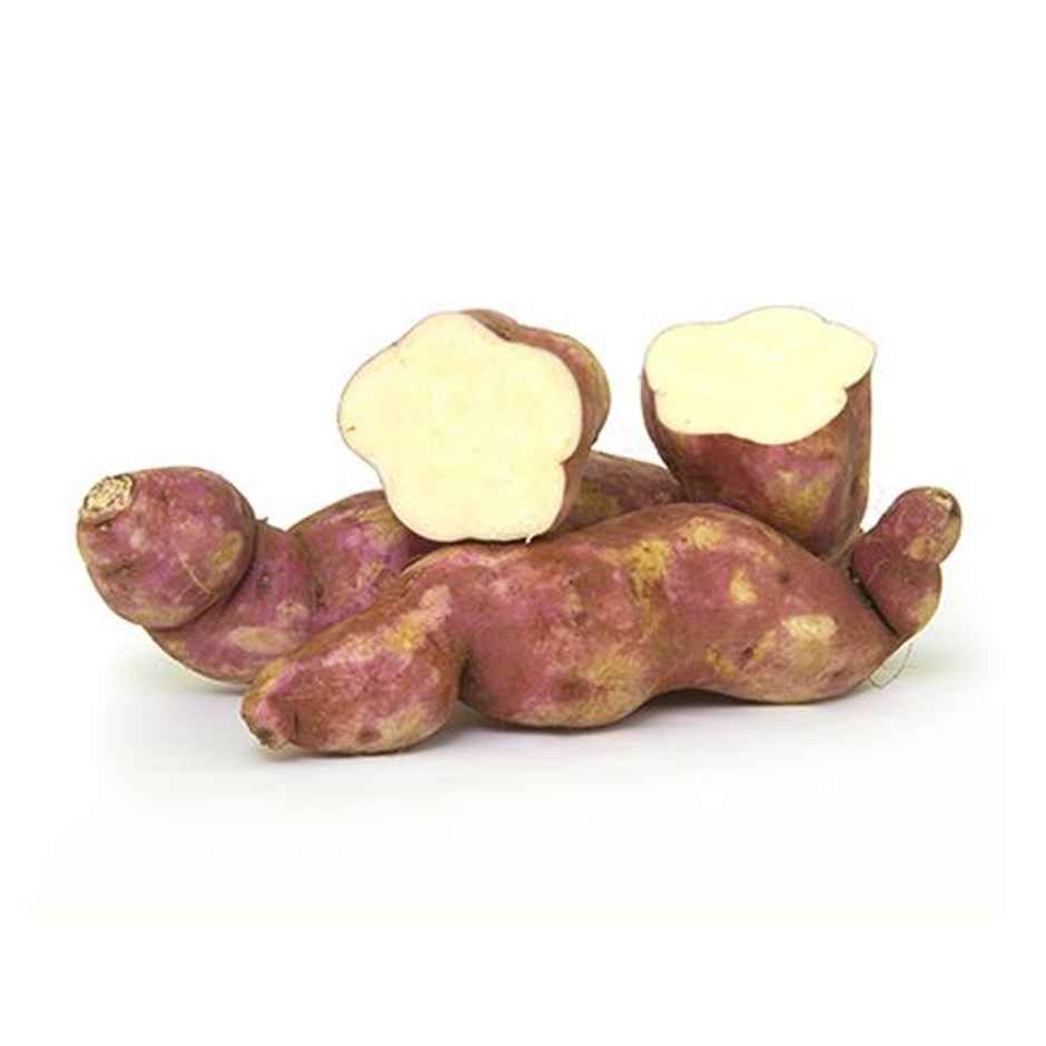 Sweet Potato