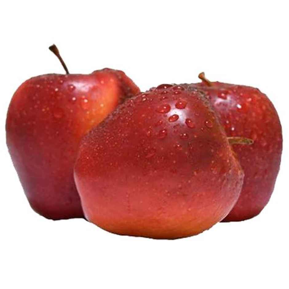 Apple Queen Rose
