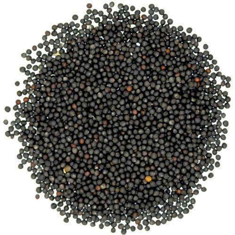 Black Mustard (Kali Sarso)