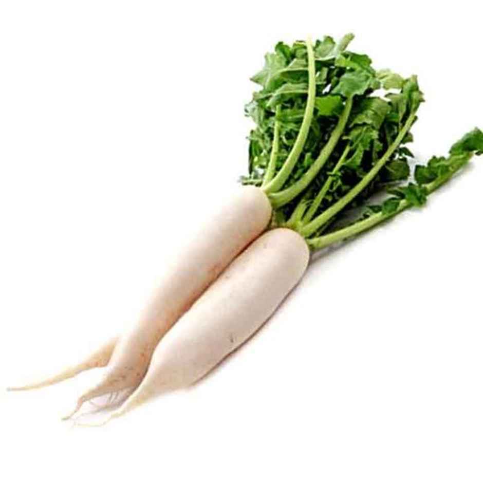 Organic Radish