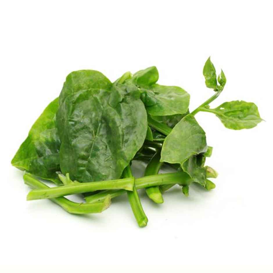Basale Leaves