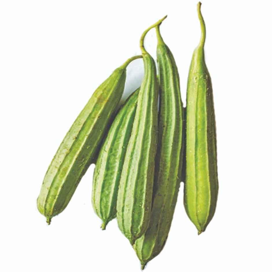 Organic Certified Ridge Gourd (Peerkkangaai)