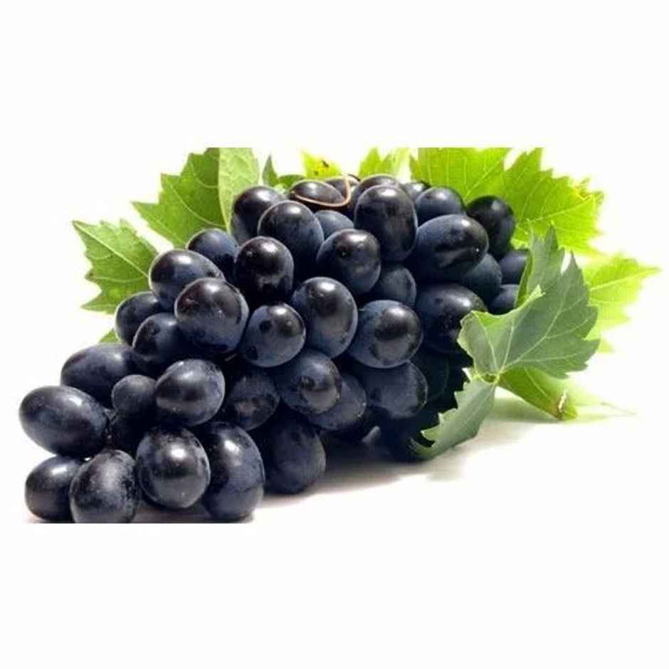 Black Grapes Loose