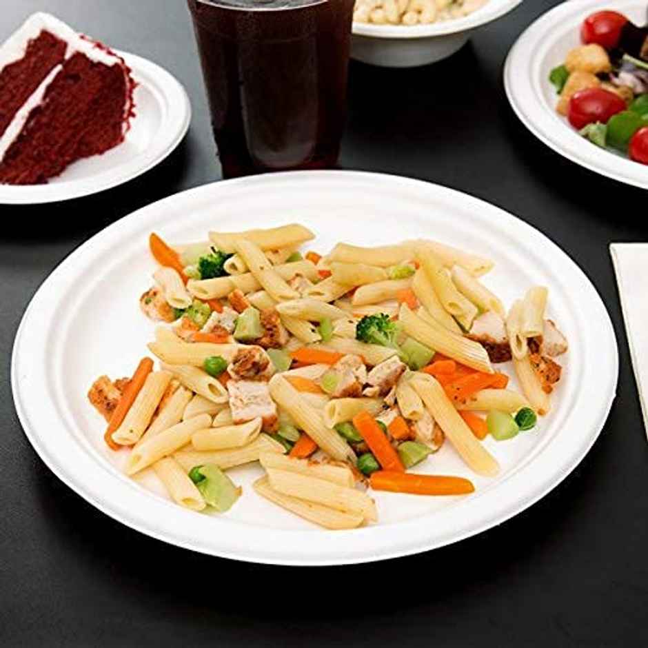 Bio-Degradable Bagasse Plates | 25 cm | Vinay Trading