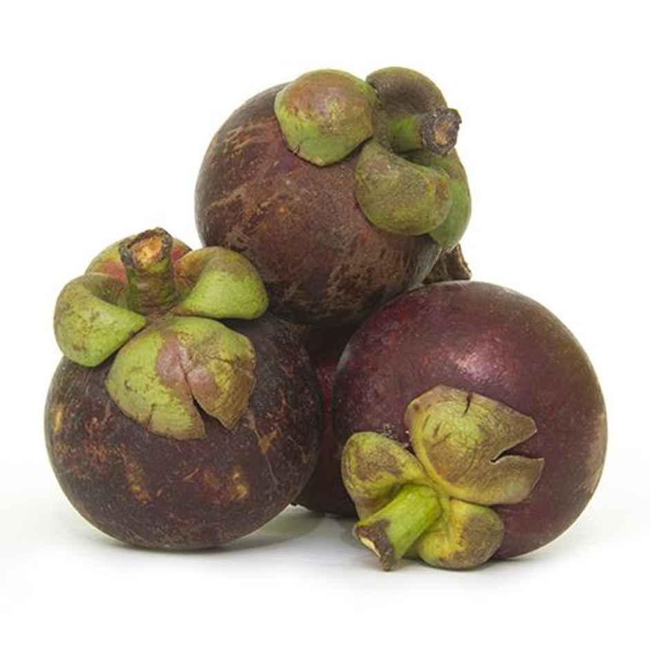 Mangosteen