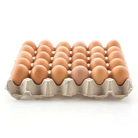 Fresh Brown Eggs