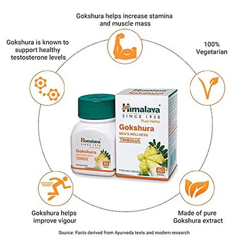 Himalaya Gokshura Men's Wellness Tablets