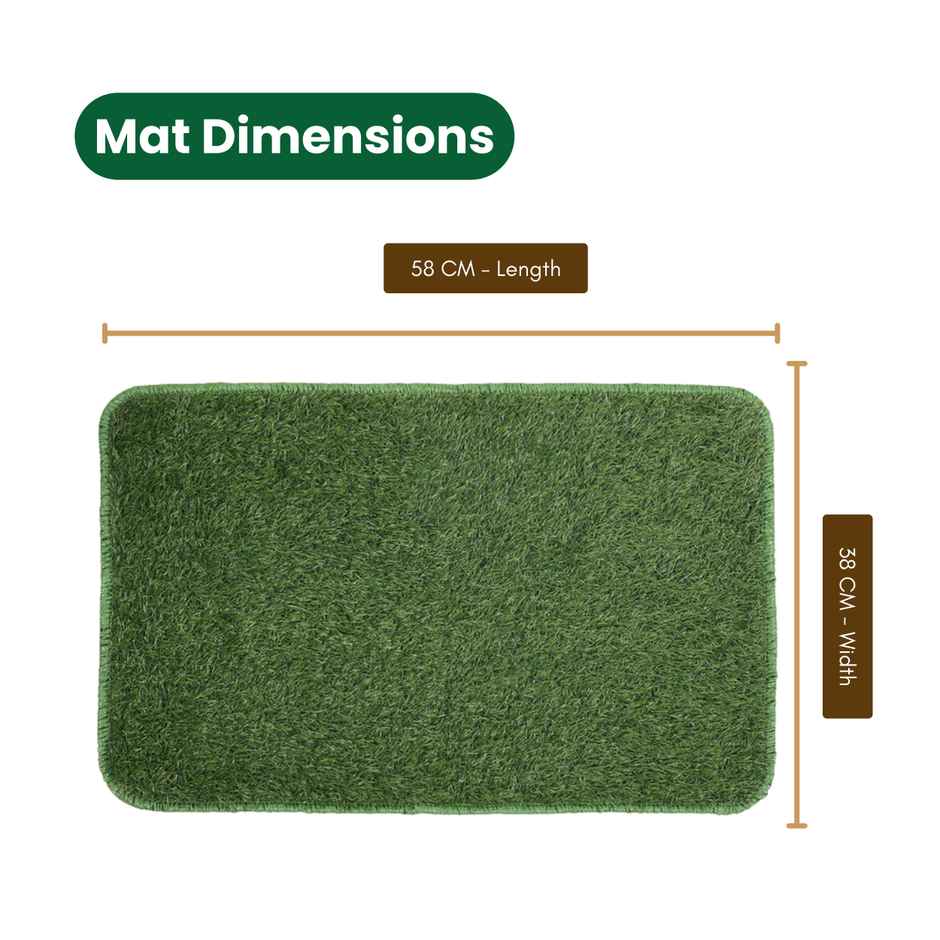 Status Anti- Skid Grass Door Mat | 38 x 58 cm