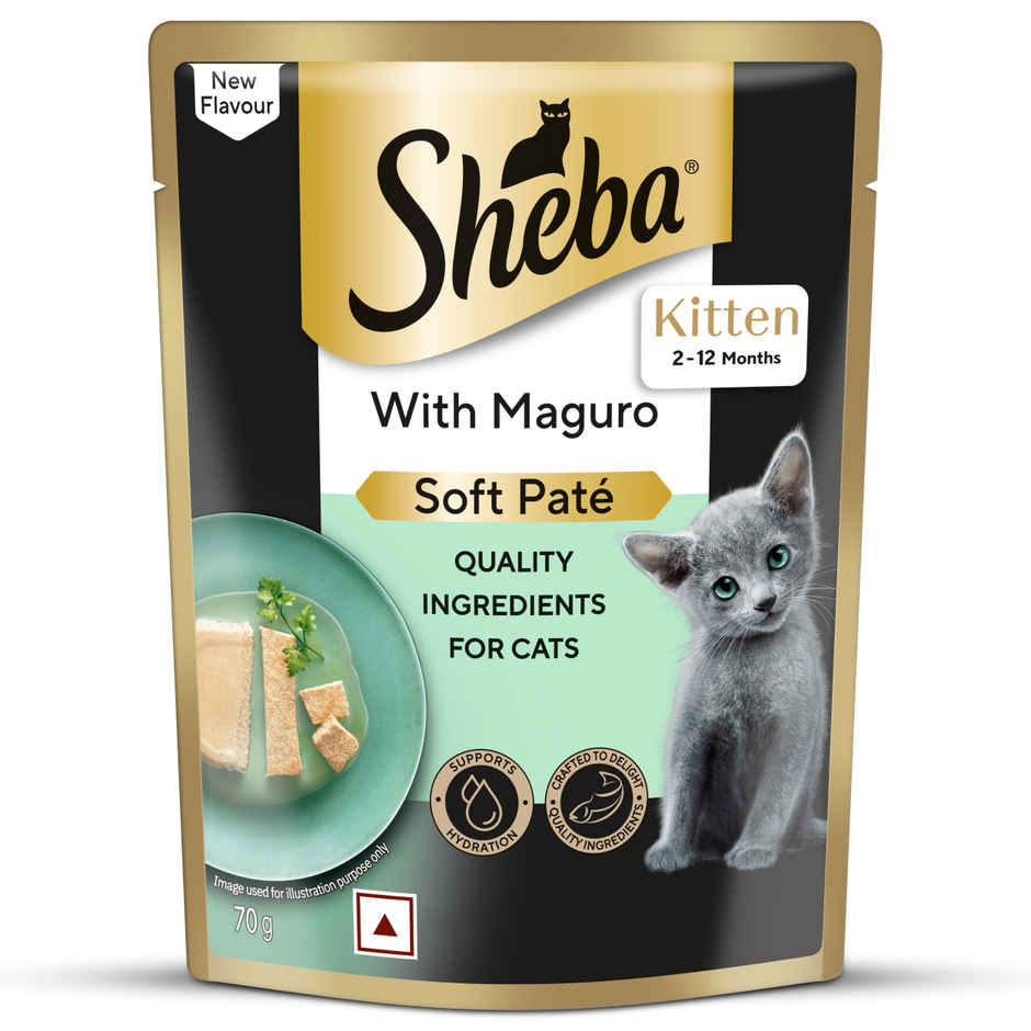 Sheba Pate Kitten Wet Cat Food | Maguro
