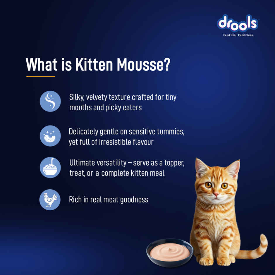 Drools Ocean Fish Mousse Kitten Wet Food
