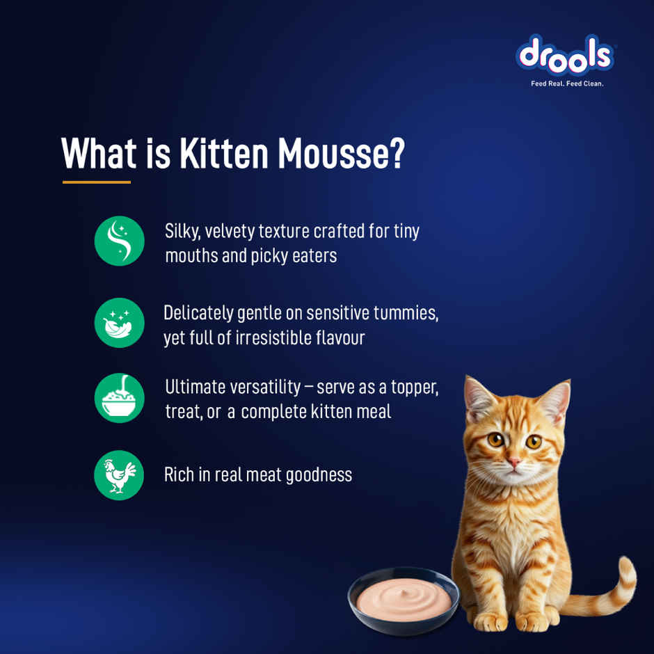 Drools Tuna Mousse Kitten Wet Food